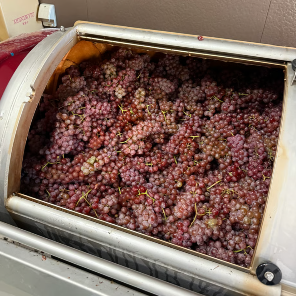 デラウェア　２０２４